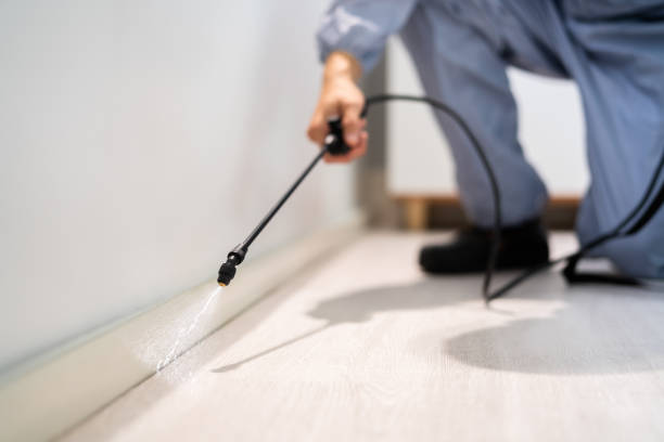 Licensed Pest Control service in Portage, MI - Show Me Pest Control