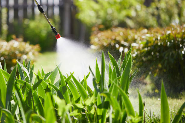 24/7 Emergency Wasp Removal experts in Portage, MI